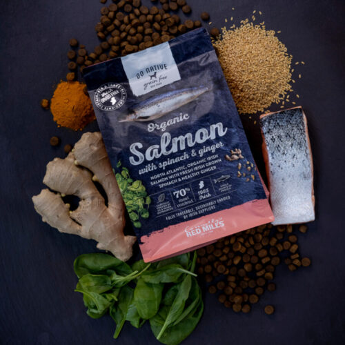 GO NATIVE – LOSOS s špinačo in ingverjem