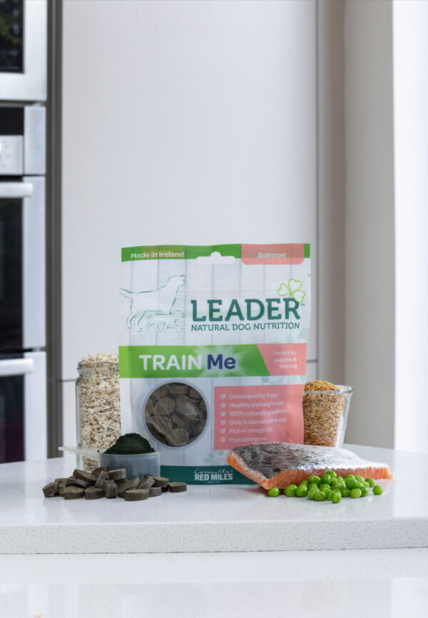 Leader Low Calorie train me priboljški losos 130g