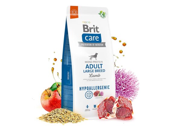 Brit Care hypoallergenic adult large breed - jagnjetina in riž