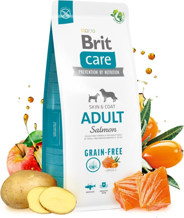 Brit Care grain-free adult - losos in krompir
