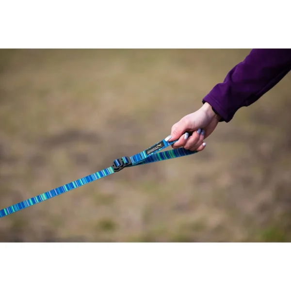 CONOR'S ADVENTURE Nastavljiv elastičen povodec 25mm