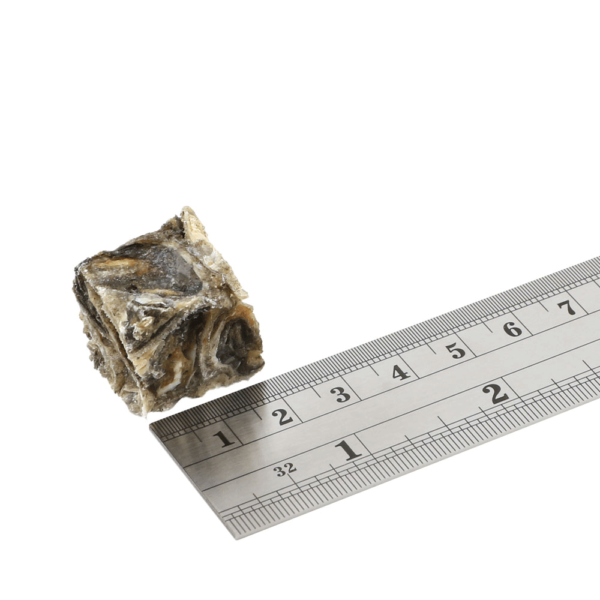 FISH 4 DOGS DENTAL SEA JERKY FISH TIDDLERS (RIBJE KOCKE)