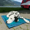 prenosna4 SPRENGER prenosna postelja