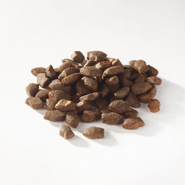 FISH 4 DOGS SUPPORT+ PUPPY SALMON (losos) MINI MORSEL