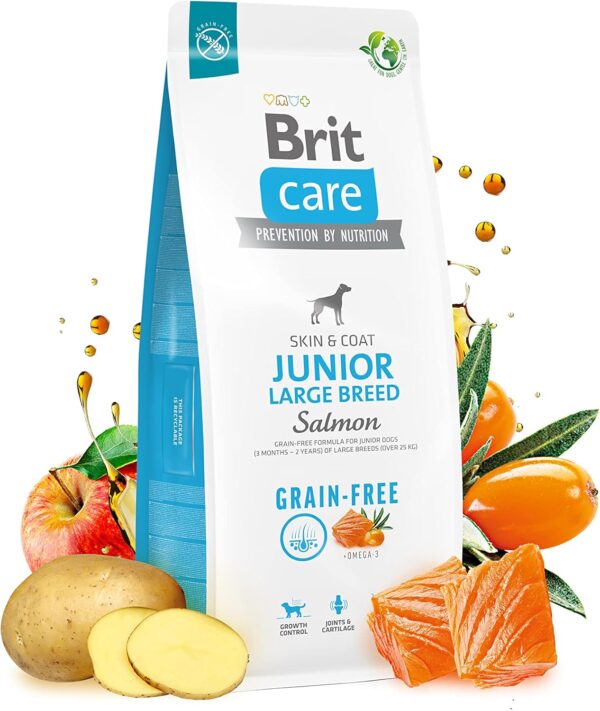 Brit Care dog grain-free junior large breed losos in krompir