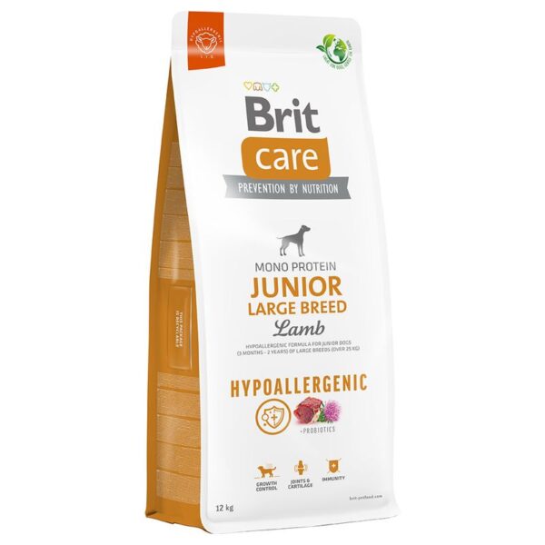 Brit Care hypoallergenic junior large Breed jagnjetina in riž