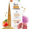 Brit Care hypoallergenic junior large Breed jagnjetina in riž