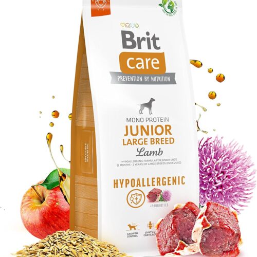 Brit Care hypoallergenic junior large Breed jagnjetina in riž