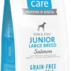 Brit Care dog grain-free junior large breed losos in krompir