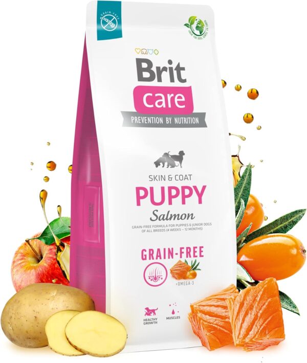 Brit Care dog grain-free puppy losos in krompir