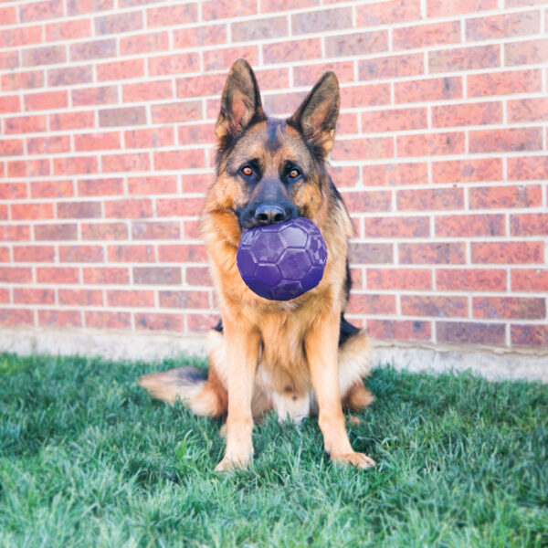 KONG flexball