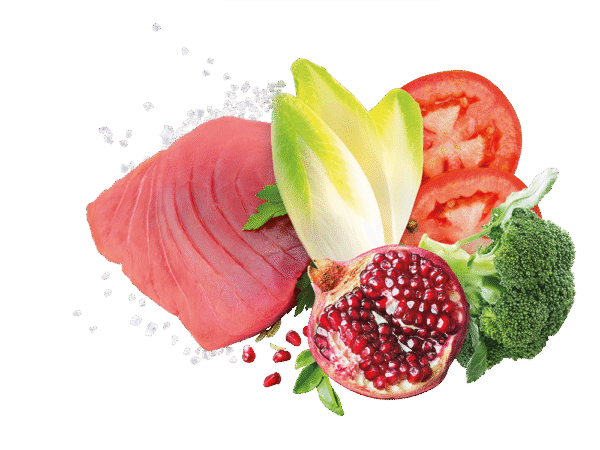 EXCLUSION MEDITERRANEO MONOPROTEIN - TUNA PUPPY