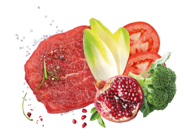 EXCLUSION MEDITERRANEO MONOPROTEIN - GOVEDINA