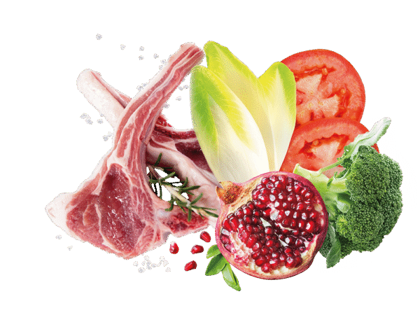 EXCLUSION MEDITERRANEO MONOPROTEIN - JAGNJETINA