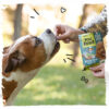 Little Chef – pet biscuit – dental fresh 227g