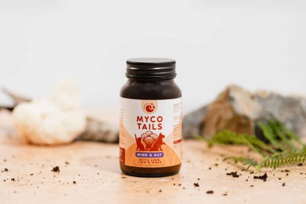 Pantaya MycoTails: Mind & Gut