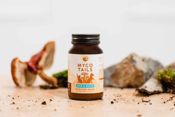 Pantaya MycoTails: Skin & Detox