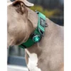 Orbiloc Dog Dual lučka