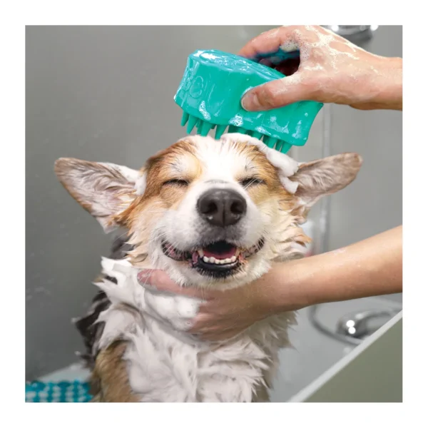 bubbles3 KONG ZoomGroom bubbles