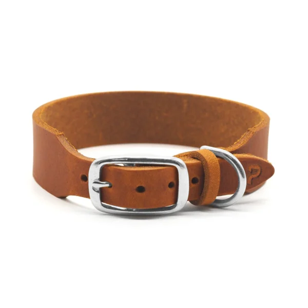 PAWSOME usnjena ovratnica - Cognac