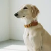 cognac-pawsome-fettleder-hundezubehoer.jpg PAWSOME usnjena ovratnica za hrte - Gray