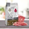 PLATINUM adult Iberico, suha hrana za pse