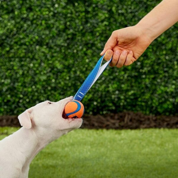 🎾 Chuckit! Ultra Tug M