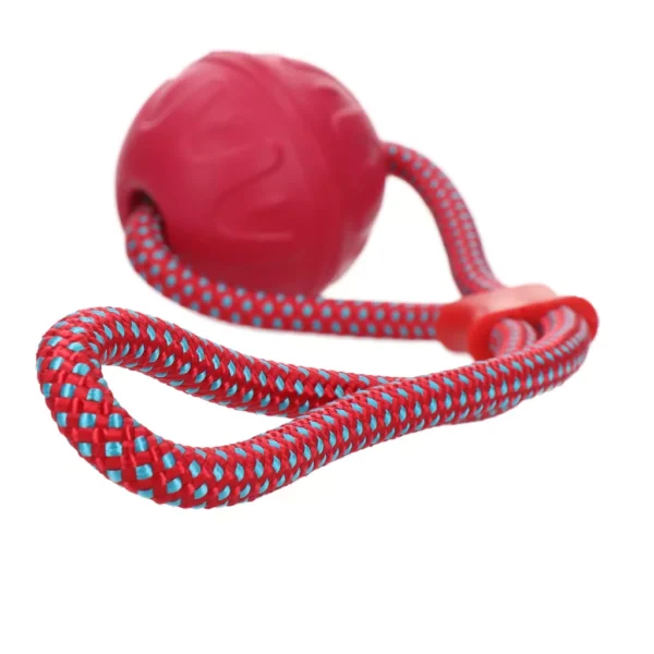COME059L+3-main Dog Comets Vortex Loop Pink