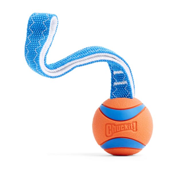 🎾 Chuckit! Ultra Tug M