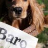 BARO premium naravni mehki trakovi za pse – konj