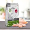 PLATINUM adult Chicken, suha hrana za pse