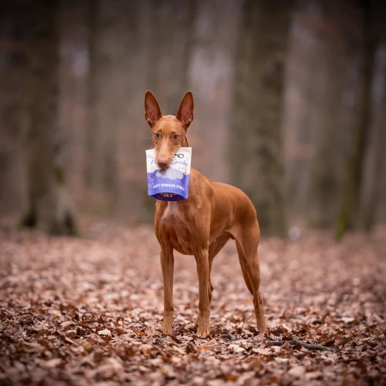 venisonstrips-dog_63cae046fe197a195e11b229aee86d51 BARO premium naravni mehki trakovi za pse – divjačina