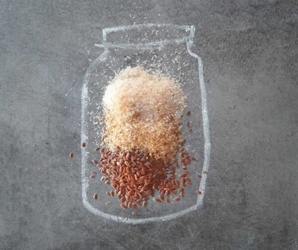 Naravno zdrav pes - PSYLLIUM–FLAX
